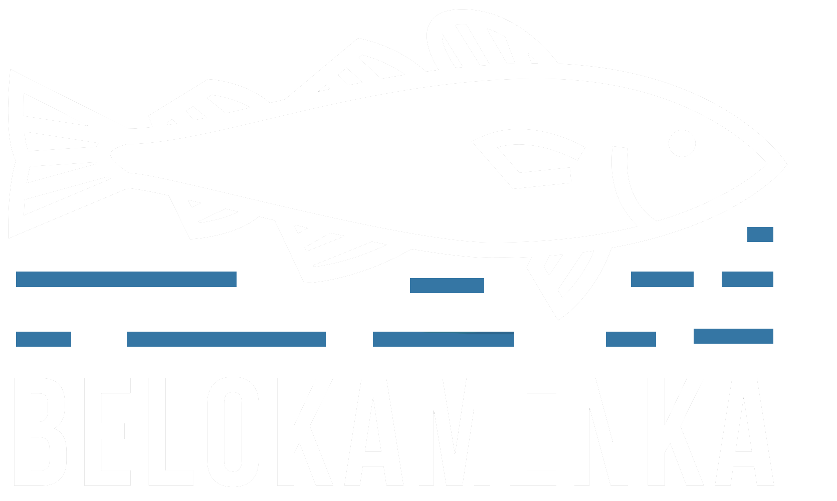 Belokamenka logotype